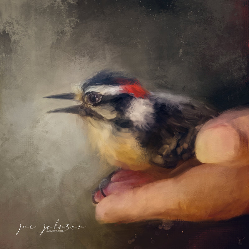 Downy Woodpecker painting