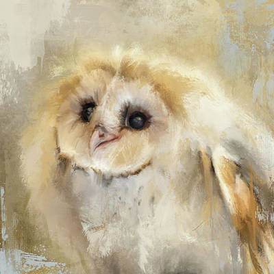 Baby barn owl painting