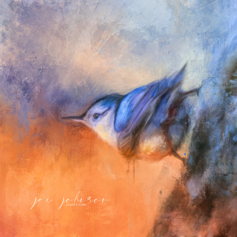 Nuthatch painting