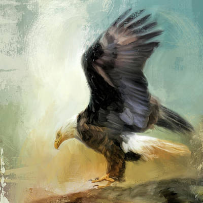 Bald eagle painting