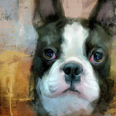 Boston Terrier art
