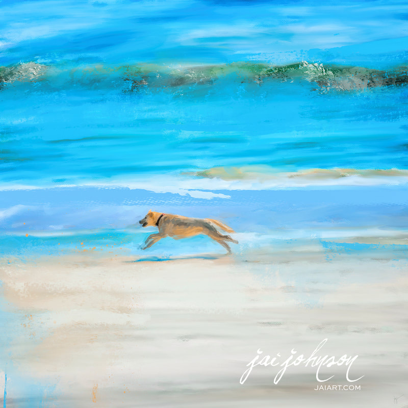 Dog running on the beach in Cape San Blas Florida