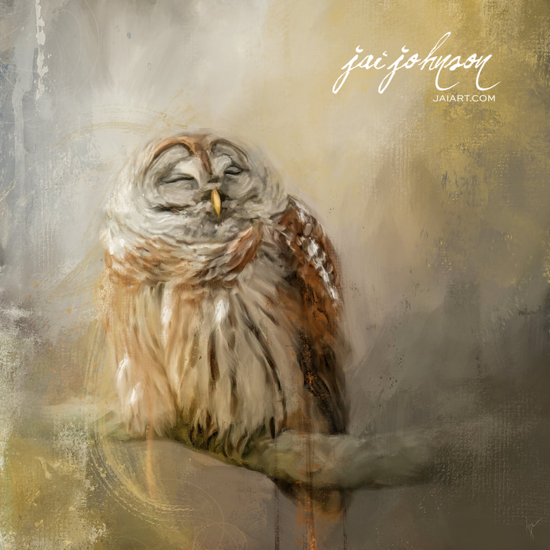 Sleeping barred owl painting