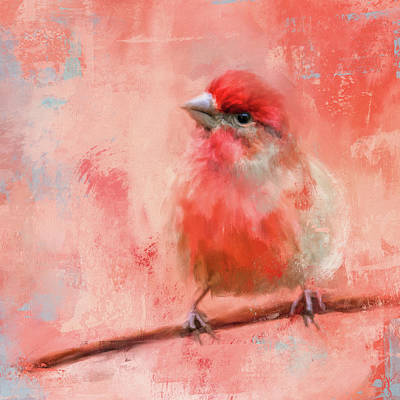 Male House Finch painting