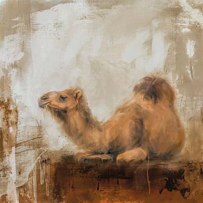 Camel art