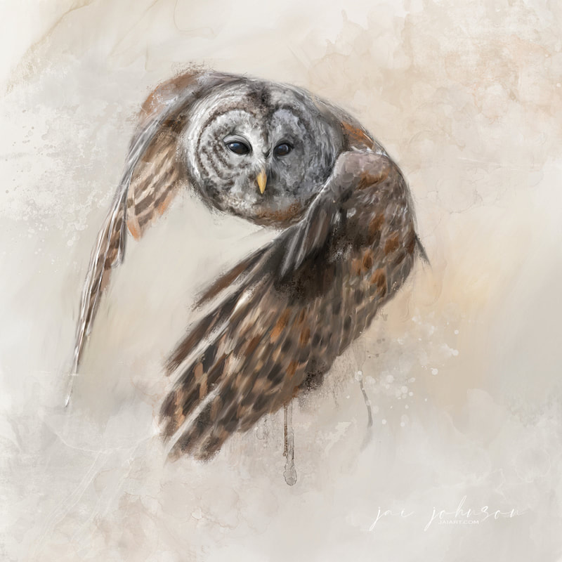 Flying Barred Owl painting